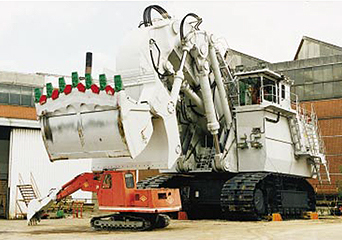 1645430105820248.jpg 1.jpg